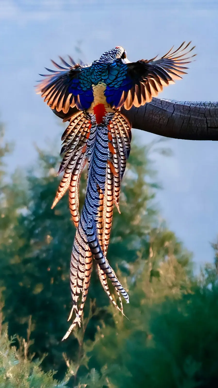 Mandai Wildlife Reserve Singapore tour