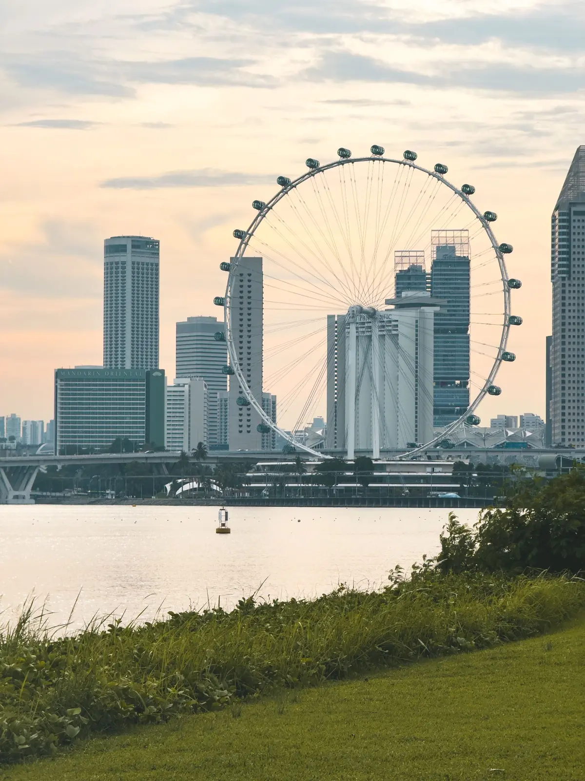 Singapore Flyer private city tour