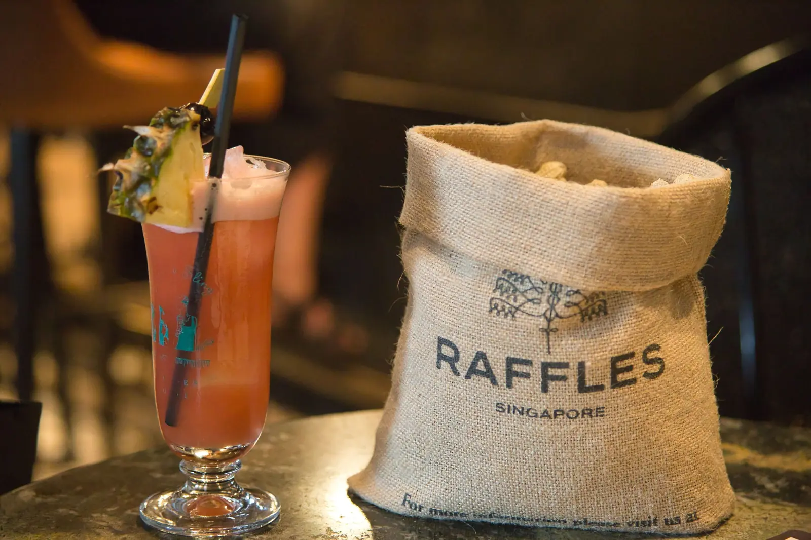 Raffles Singapore private city tour