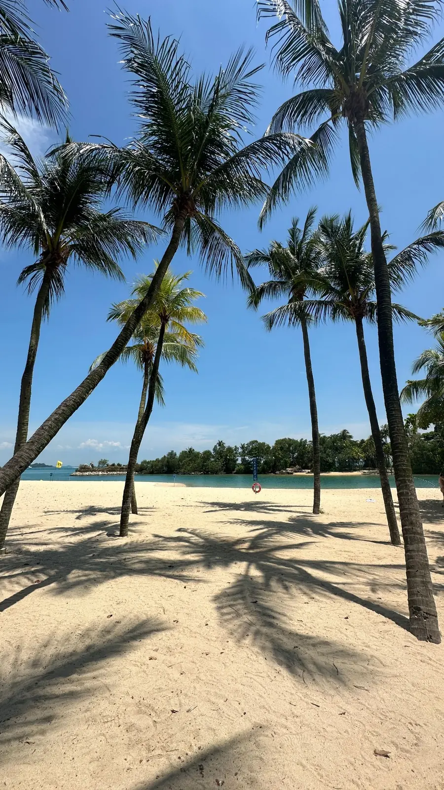 Sentosa Singapore private tour